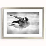 Framed wall art collection featuring an elegant silver mat with a goose design, ideal for enhancing home decor and adding a touch of sophistication to any room.