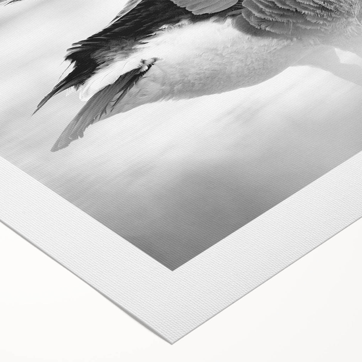 Rolled canvas artwork showcasing a vibrant goose design, perfect for home decor. The piece features intricate details, rich colors, and a modern aesthetic, ideal for enhancing any room's ambiance.