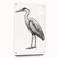 Elegant wall art collection featuring a side view of a heron and egret design printed on acrylic glass, showcasing vibrant colors and intricate details, perfect for enhancing any modern decor.