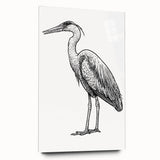 Elegant wall art featuring a side view of a heron and egret design, crafted from acrylic glass. The piece showcases intricate details and vibrant colors, perfect for enhancing modern home decor. Ideal for nature enthusiasts and art collectors seeking a unique addition to their collection.