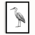 Elegant wall art featuring a heron and egret design, framed in black with a mat, showcasing nature's beauty. Perfect for enhancing home decor with a touch of wildlife elegance.