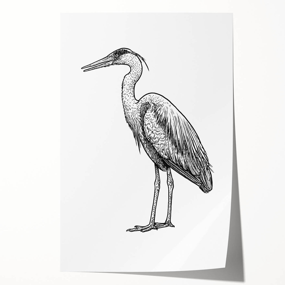 Heron and egret wall art rolled print showcasing vibrant colors and intricate details of birds in a natural setting, perfect for home decor enthusiasts.