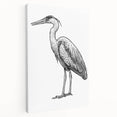 Heron and egret wall art collection on stretched canvas, showcasing detailed bird illustrations in soft pastels, perfect for nature-themed decor.