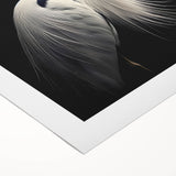 Rolled canvas artwork showcasing a stunning heron and egret design, featuring vibrant colors and intricate details, perfect for enhancing home decor.