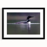 Framed wall art featuring elegant heron and egret designs in a black mat, perfect for enhancing modern home decor and nature-themed interiors.