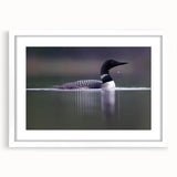 Framed wall art showcasing a heron and egret design in elegant white matting, perfect for enhancing home decor with a nature-inspired theme.