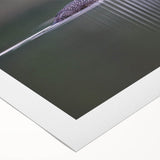 Elegant rolled canvas wall art showcasing a serene heron and egret design, perfect for enhancing home decor with a touch of nature-inspired beauty. Ideal for bird lovers and art enthusiasts, this piece adds tranquility to any setting.