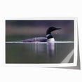 Elegant wall art print showcasing a heron and egret in a serene setting, ideal for nature lovers. Perfect for home decor, this rolled artwork adds a touch of tranquility.