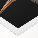 Colorful rolled canvas artwork showcasing a heron and egret design, ideal for nature lovers and home decor enthusiasts, presented in a protective cardboard tube.