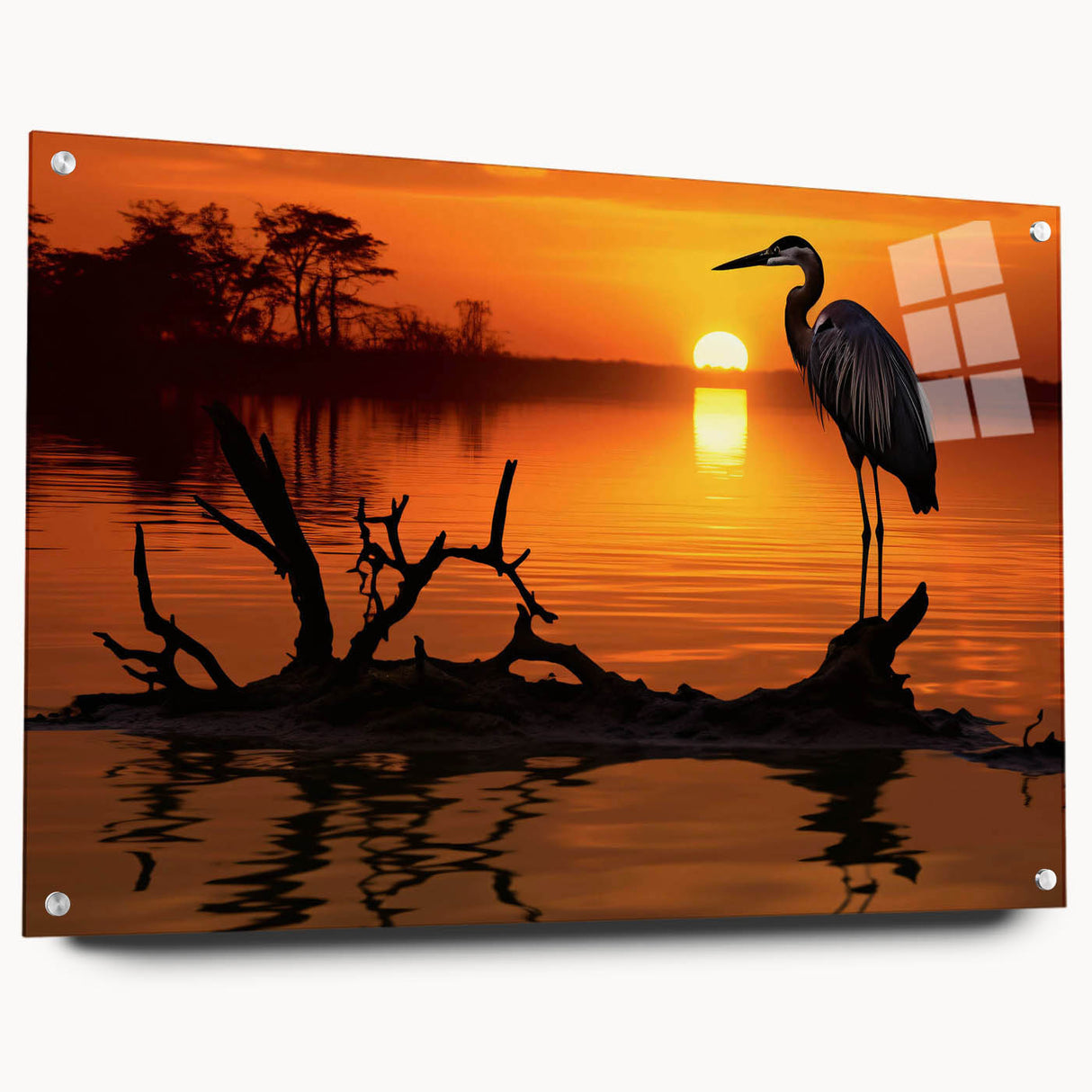 Elegant acrylic wall art featuring a side view of a heron and egret design, showcasing vibrant colors and intricate details, perfect for nature-themed decor.
