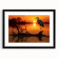 Framed wall art collection featuring a heron and egret design, presented in a black frame with a mat, perfect for enhancing home decor with nature-inspired elegance.