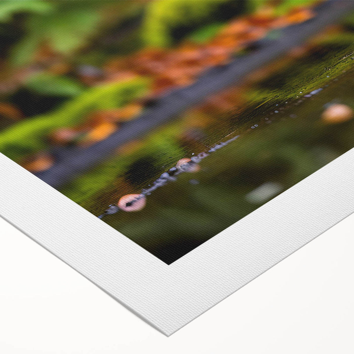 Stylish rolled canvas wall art showcasing a heron and egret design, featuring vibrant colors, ideal for enhancing modern home decor. Perfect for bird lovers.