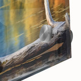 Close-up of a vibrant wall art collection featuring a heron and egret design, printed on acrylic glass, showcasing detailed textures and colors perfect for home decor.