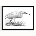 Elegant black-framed wall art showcasing a heron and egret design, perfect for enhancing home decor. Features a contemporary aesthetic with a matte finish, ideal for bird lovers and nature enthusiasts.
