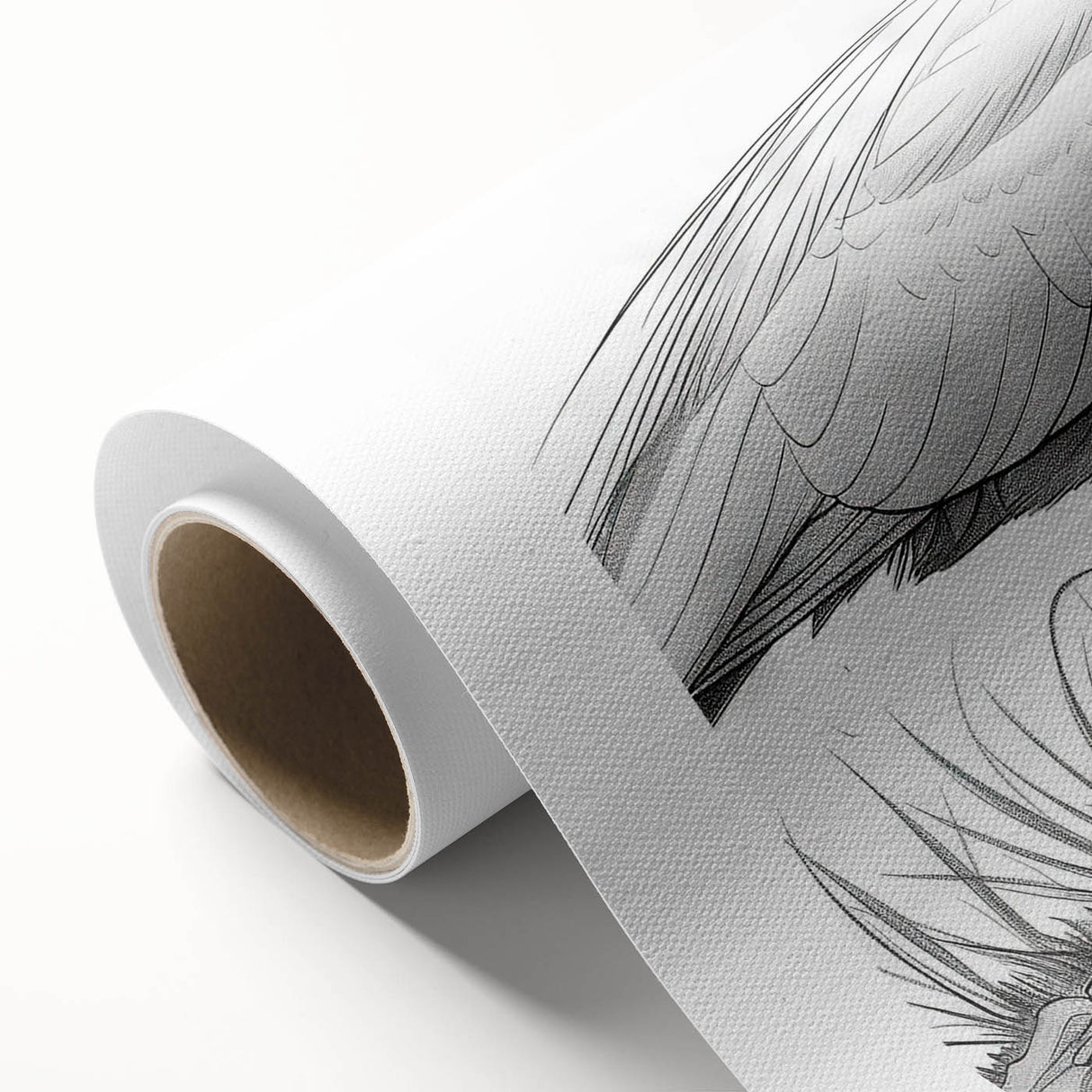 Elegant rolled canvas artwork showcasing a heron and egret in a serene natural setting, perfect for enhancing home decor with a touch of wildlife-inspired elegance. Ideal for nature lovers and art enthusiasts, this high-quality piece brings tranquility and beauty to any space.