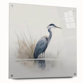 Acrylic glass wall art featuring a striking design of herons and egrets in a serene natural setting, displayed from a side view with decorative pins.