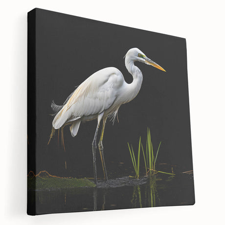 Stretched canvas wall art showcasing a serene heron and egret design, featuring vibrant colors and intricate details, perfect for nature enthusiasts and home decor.