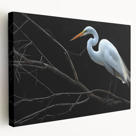 Elegant stretched canvas wall art showcasing a heron and egret in a serene natural setting, ideal for enhancing home decor with a touch of nature.