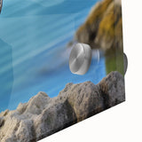 Close-up view of a stunning wall art collection featuring elegant herons and egrets, printed on acrylic glass. The artwork showcases intricate details and vibrant colors, perfect for enhancing modern home decor.