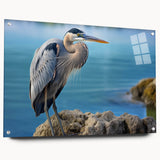Elegant wall art collection featuring a side view of heron and egret designs on acrylic glass, showcasing vibrant colors and intricate details, ideal for nature lovers.