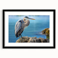 Elegant black-framed wall art collection showcasing heron and egret designs, with a mat enhancing the aesthetic appeal, perfect for nature-inspired decor.