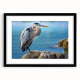 Elegant black-framed wall art collection showcasing heron and egret designs, with a mat enhancing the aesthetic appeal, perfect for nature-inspired decor.