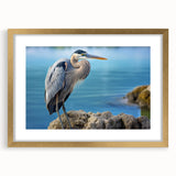 Elegant framed wall art collection featuring a heron and egret design, set in a gold frame with a mat, perfect for enhancing modern home decor.