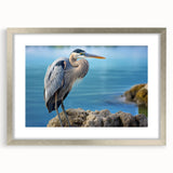 Elegant wall art collection featuring heron and egret designs in a silver frame, showcasing nature's beauty. Ideal for enhancing home decor with a serene touch.