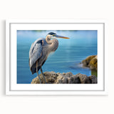 Framed wall art collection showcasing elegant heron and egret designs, featuring a white mat and sleek frame, perfect for enhancing home decor with a nature theme.