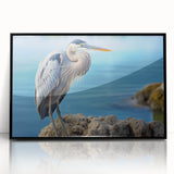 Framed wall art collection featuring elegant heron and egret designs in a sleek black frame, perfect for adding a touch of nature-inspired decor to any room.