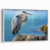 Framed canvas wall art collection featuring elegant heron and egret designs in soft pastel colors, set against a white background, ideal for modern home decor.