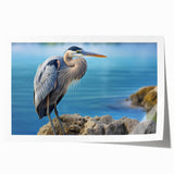 Heron and egret design wall art print showcasing elegant birds in natural colors, perfect for home decor. This rolled canvas adds a serene touch to any space.