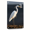 Elegant wall art collection showcasing a side view of heron and egret designs printed on acrylic glass, featuring vibrant colors and intricate details, ideal for nature-themed decor.