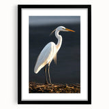 Elegant wall art collection showcasing a heron and egret design, framed in black with a mat, perfect for enhancing home decor with nature-inspired elegance.