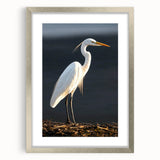 Framed wall art collection showcasing elegant herons and egrets in soft pastel colors, designed to enhance modern decor with a stylish silver frame and mat.