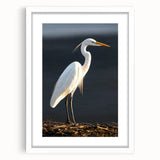 White-framed wall art collection showcasing elegant herons and egrets in a serene nature scene, ideal for enhancing home decor with a touch of tranquility.