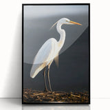 Framed wall art collection showcasing elegant heron and egret designs in vibrant colors, set against a sleek black frame, perfect for modern home decor.