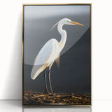 Framed wall art collection featuring a heron and egret design with a gold frame, showcasing elegant bird illustrations on a white background, ideal for home decor.