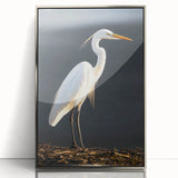 Framed wall art collection featuring elegant heron and egret designs in silver acrylic, showcasing intricate details and a modern aesthetic, perfect for home decor.