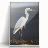 Framed wall art collection showcasing a serene heron and egret design, featuring a white frame and acrylic finish, perfect for enhancing modern home decor.