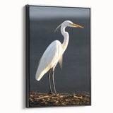 Framed wall art collection showcasing a sleek black side view of herons and egrets in a serene natural setting, perfect for enhancing home decor with elegance.