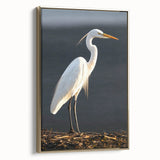 Framed wall art collection showcasing a heron and egret design, featuring elegant gold accents and a side view perspective, perfect for enhancing modern decor.