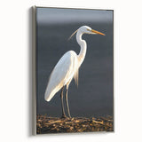 Framed wall art collection featuring elegant heron and egret designs on canvas, showcasing silver frame accents. Ideal for enhancing home decor with nature-inspired elegance.