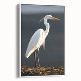 Framed wall art collection featuring elegant heron and egret designs on a white background, perfect for enhancing modern home decor with nature-inspired aesthetics.