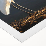 Elegant rolled canvas showcasing a heron and egret design, featuring vibrant colors and intricate details, ideal for nature-themed decor or art collections.