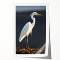 Elegant wall art print showcasing a heron and egret design against a serene background, perfect for bird lovers and nature enthusiasts. The vibrant colors and intricate details make it an ideal decor piece for living rooms or offices, enhancing any space with its artistic charm.
