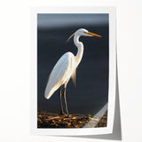 Elegant wall art print showcasing a heron and egret design against a serene background, perfect for bird lovers and nature enthusiasts. The vibrant colors and intricate details make it an ideal decor piece for living rooms or offices, enhancing any space with its artistic charm.