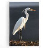 Elegant heron and egret wall art collection on stretched canvas, showcasing vibrant colors and intricate details, perfect for enhancing any living space decor.