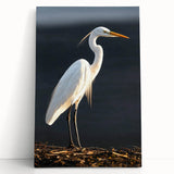 Stretched canvas wall art featuring a serene heron and egret design, showcasing elegant birds in soft pastel colors, perfect for enhancing home decor.