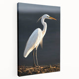 Stretched canvas wall art collection featuring elegant herons and egrets in a serene natural setting, ideal for enhancing home decor with a touch of wildlife elegance.